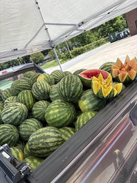 Watermelon (Seeded - Red, Orange, Yellow)
