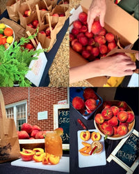 Peck O' Peaches (12 pound boxes)